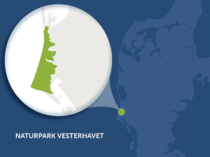 Naturpark Vesterhavet_udsnit_vk(1)
