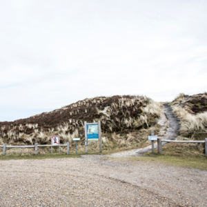 csm_Tejnebjerg_458x458_5f2d225a01